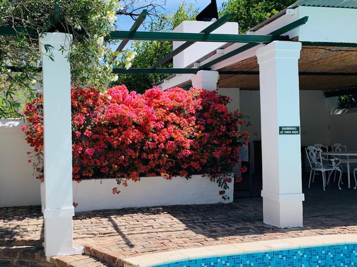 De Wingerd B & B Graaff-Reinet Buitenkant foto
